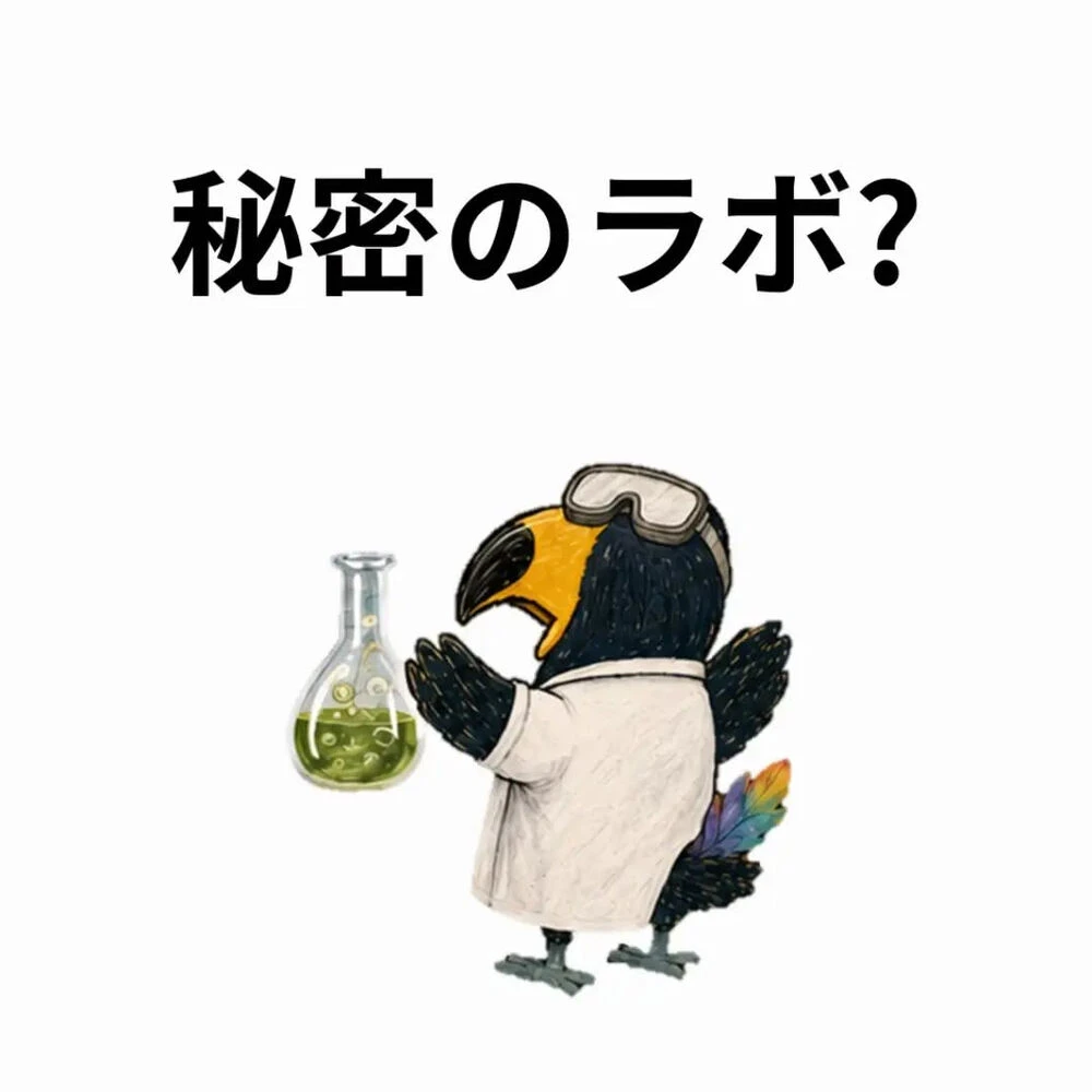 ブログ画像