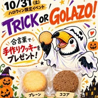 ブログ画像